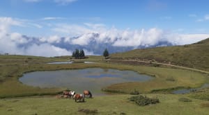 Au cœur du Val d'Azin et paysages à couper le souffle - Arbéost - 34