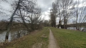 Randonnée au château de Quincy, par la forêt de Bouran - Quincy - 4