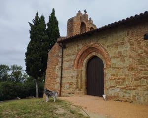 Sur les hauteurs d'Estantens à Muret - Muret - 7