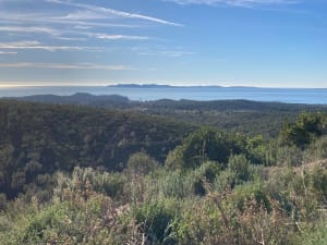 Lac de Trapan et son écrin de verdure - Bormes-les-Mimosas - 45