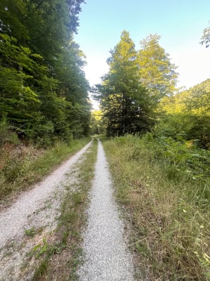 Boucle en forêt à Graufthal - Severine - 7