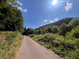 Boucle en forêt à Graufthal - Severine - 8