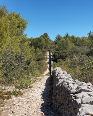 Lagnes, le Luberon le long du Mur de la Peste - Lagnes - 18