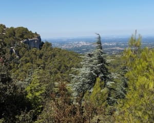 Lagnes, le Luberon le long du Mur de la Peste - Lagnes - 19