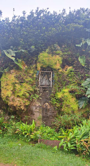 Ascension à La Soufrière, volcan mythique de la Guadeloupe - Saint-Claude - 2