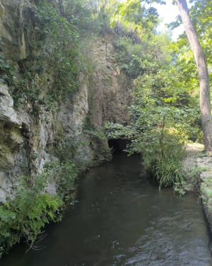 Le Canal d'Ille-sur-Têt - Ille-sur-Têt - 20
