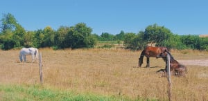 Châlons-en-Champagne et plaisirs diversifiés de la Marne - Châlons-en-Champagne - 2