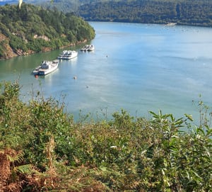 Landévennec et vue sur le cimetière des anciens bateaux - Landévennec - 15