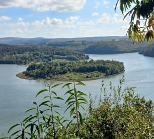 Landévennec et vue sur le cimetière des anciens bateaux - Landévennec - 16
