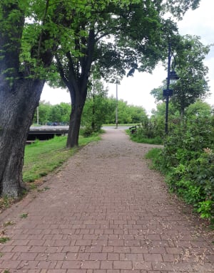 Spacer po centrum Radomia - Bartosz - 6