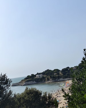 Visite touristique de Meschers sur Gironde - Meschers-sur-Gironde - 9