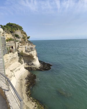 Visite touristique de Meschers sur Gironde - Meschers-sur-Gironde - 10