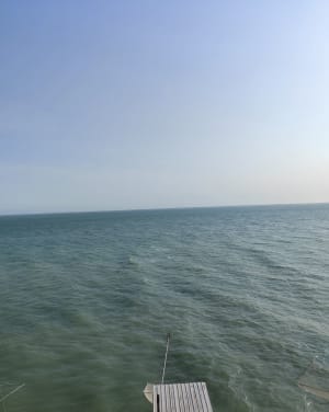 Visite touristique de Meschers sur Gironde - Meschers-sur-Gironde - 11