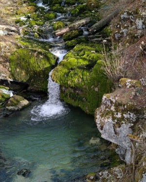 Etre saisi par les gorges de la Saine et de la Langouette - Les Planches-en-Montagne - 29