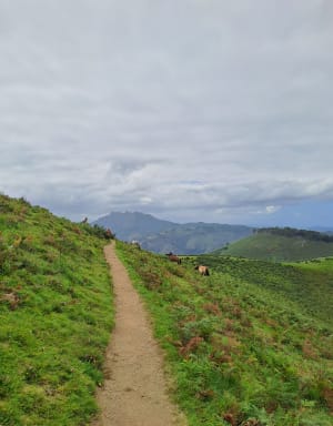 Boucle du col d'Ibardin par le GR 10 - Urrugne - 42