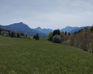 Rondje van de gehuchten van Joigny en wild natuurbad - Entremont-le-Vieux - 11