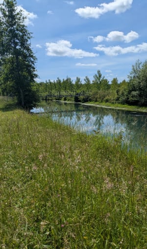 Mirebeau-sur-Bèze et amour de promenade dans les bois - Mirabeau-sur-Bèze - 3