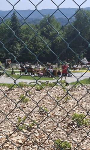 Góra Parkowa i Krynica - Maria  - 3