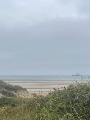 D'Equihen à Hardelot. Entre forêt, dunes et plage. - Neufchâtel-Hardelot - 11