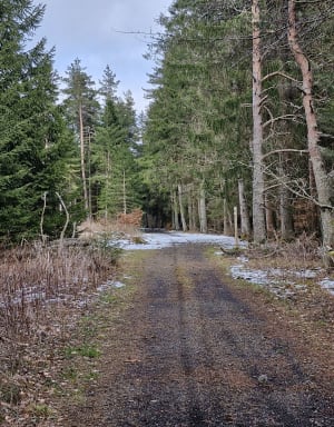 Randonnée spacieuse sur le plateau de Chabournouse - Saint-Front - 6