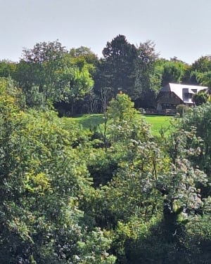 A travers la vallée de l'Orange et la pureté de son cours - Fourneville - 2