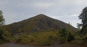Le terril de Loos-en-Gohelle - Loos-en-Gohelle - 5