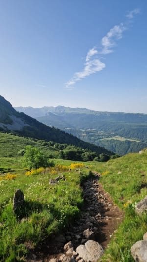 Le plateau du Guéry - Orcival - 11