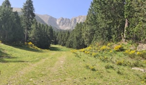 Pla du Cambre et Clot de Rodes - Eyne - 6