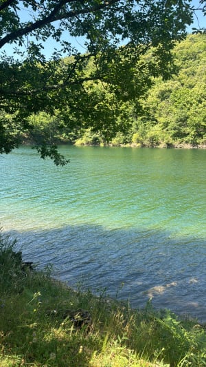 Demi-tour paisible au lac de Villefort - Villefort - 6