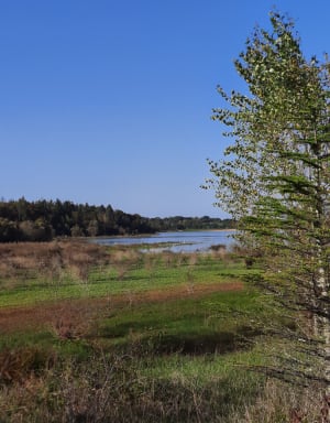 Tour du lac Saint Laurent - Philippe - 6