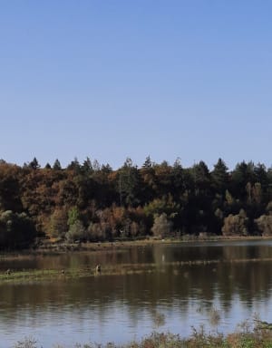 Tour du lac Saint Laurent - Philippe - 7