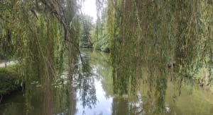 Tour du Grand Lac à Montrevel en Bresse - Malafretaz - 19