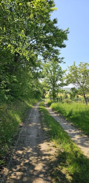 Petite balade au milieu des champs des Temps Perdus - Elisabeth - 2