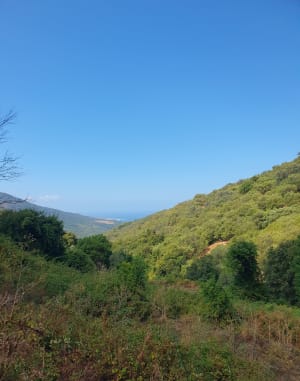 Fozzano: Boucle Figaniella - Santa Maria - Santa-Maria-Figaniella - 6