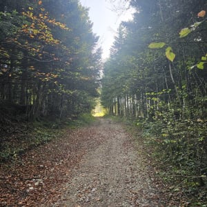 Boucle de Nods - Les Premiers-Sapins - 10