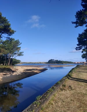 Le tour du lac d’Albret - Soustons - 11