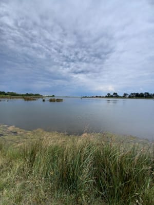 Boucle prés salés depuis la gare de la Teste - La Teste-de-Buch - 2