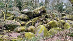 Huelgoat en de Argent-rivier, ontdekkingstocht - Huelgoat - 41
