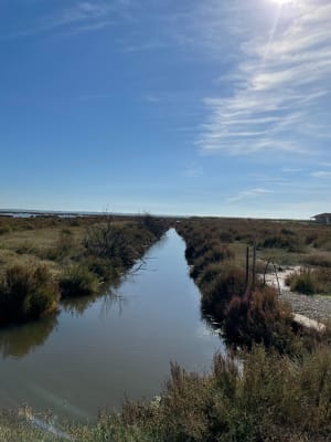 Mauguio: droomexcursie rond de moerassen van Plagnol - Mauguio - 46