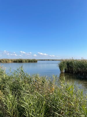 Mauguio: droomexcursie rond de moerassen van Plagnol - Mauguio - 47