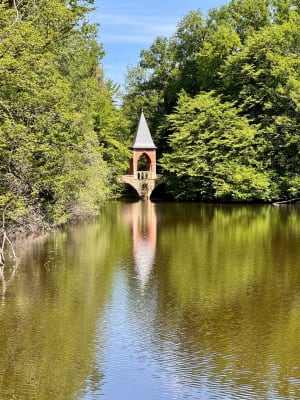 Belle balade entre Bonnelles, la Bâte et forêt Angervillers - Bonnelles - 9