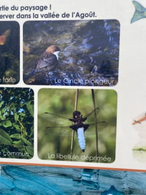 Escapade sur le sentier Prévert et bulle verte - Fraisse-sur-Agout - 10