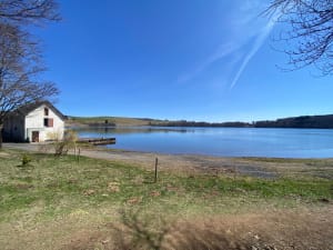 Balade dans la forêt de Montbert à proximité du lac Chauvet - Picherande - 16