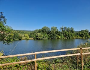 Petit sortie au bord de la Moselle et sûr la voie verte - Le Ban-Saint-Martin - 6