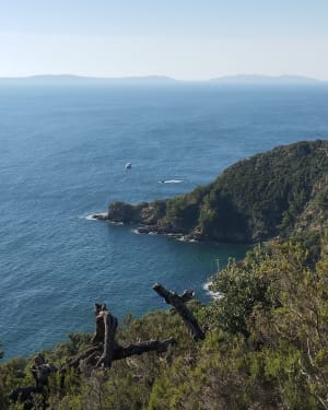 Filer jusqu'à la pointe du Dattier au bord de l'eau - Cavalaire-sur-Mer - 32