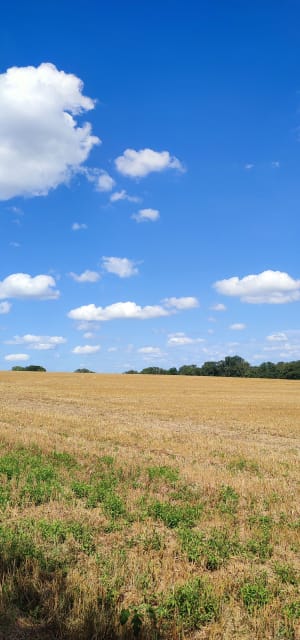 Randonnée dans la campagne préverangeoise - Préveranges - 6