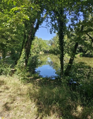 Romantische wandeling in het Majolanpark en zijn botanische rijkdommen - Blanquefort - 8