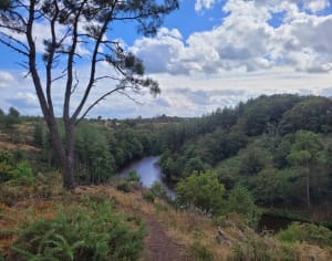 La chambre au loup dans la Lande de Bretagne - Iffendic - 6
