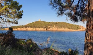 Sentier du littoral Capu di Fiora - Zonza - 20