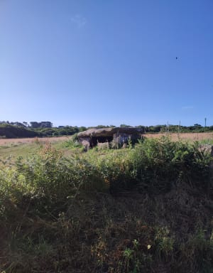 Campagne de Trégastel - Trégastel - 8